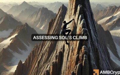 Solana’s Waning Momentum: A Closer Look